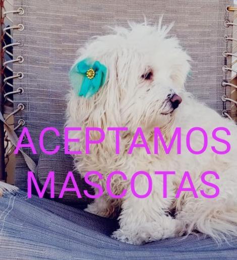 Canela Apartment, Pet Friendly Puerto Peñasco エクステリア 写真